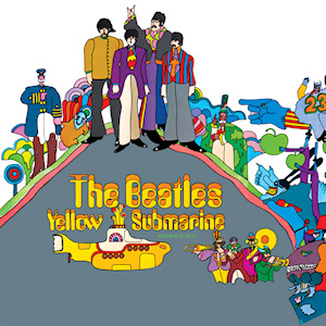 Vinyl Cover